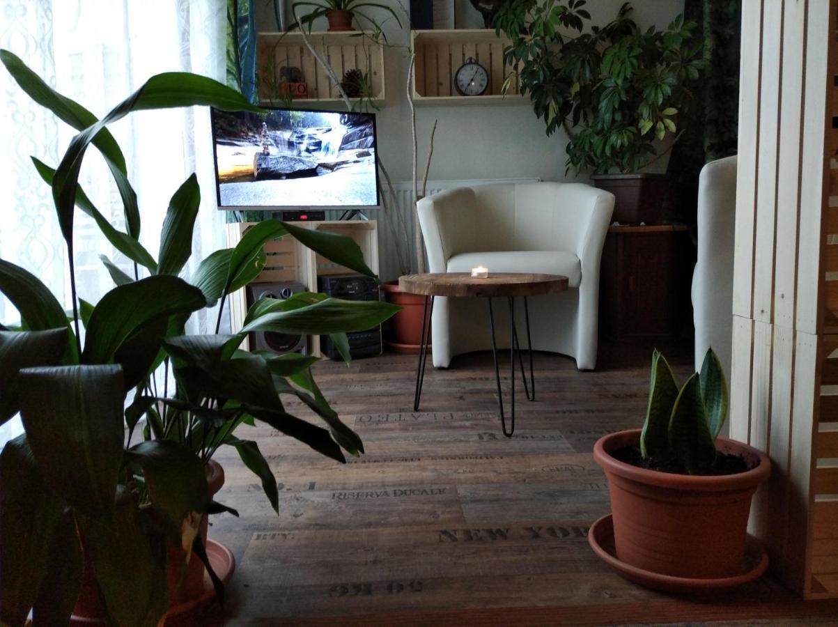 Appartamento Apartmán v podkroví Dobruška Esterno foto